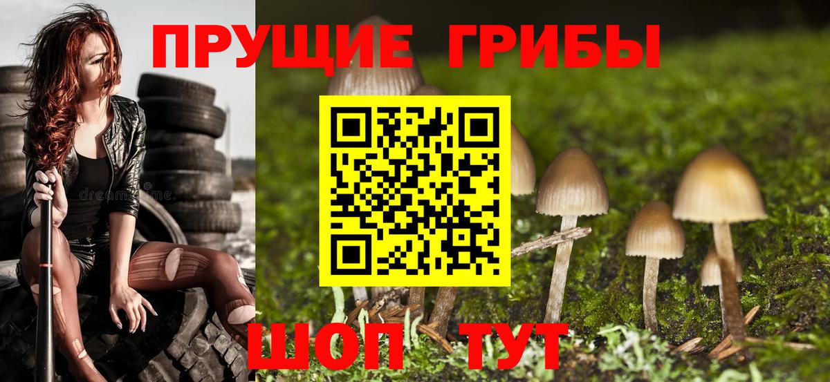 Галлюциногенные грибы мухоморы  Псилоцибиновые грибы ЛСД  Вход с VPN  Барабинск 